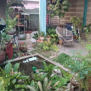 Venta de casa en Reparto Víbora Park - Img 57991004