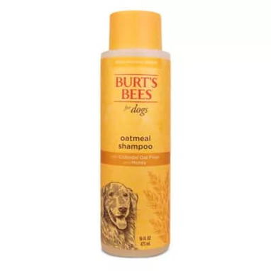 Shampoo para perros y gatos - Img 114643810