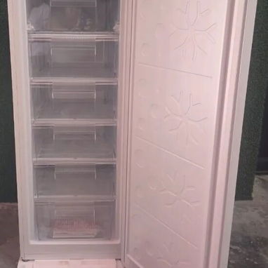 Congelador vertical, Premier, 177L, 540x550x1440 -mensajería gratis y garantía - 2/2