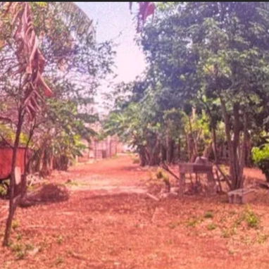 Venta de finca en cojimar 4800 m² - 4/10