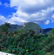 Casa en Viñales con bella vista - Img 48682556