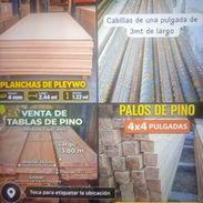 Pleywo y palos - Img 57189966