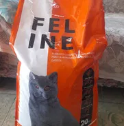 Pienso de gatos a 750 pesos la libra soy de Nuevo Vedado - Img 49811240