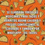Se elaboran Tortillas mexicanas para tacos 🌮 y burritos 🌯 - Img 45580466
