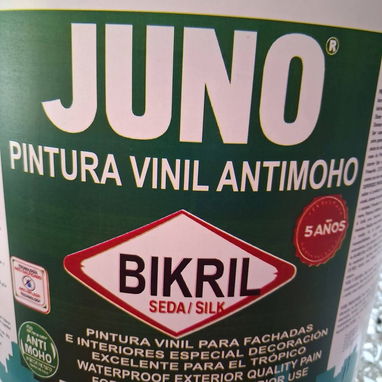 Pintura vinil y brochas 4" - Img 120903825