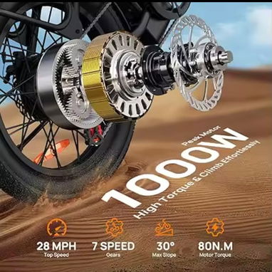 URLIFE E20 E-Bike 1000W 48V 13AH - 3/5