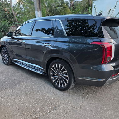 Vendo o negocio, Hyundai Palisade, 2024 calle Graphic, con 20 mil millas - Img 116694751