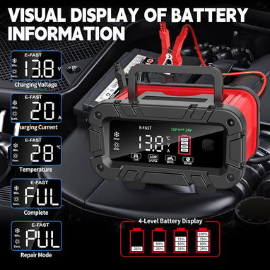 Cargador de Batería E-FAST 0-20A 12/24V LiFePO4 Plomo Ácido Cargador de Batería Automático Inteligente - 4/9