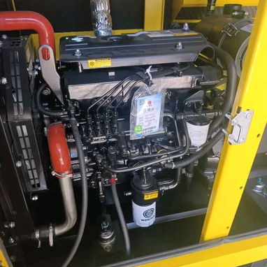 Generador eléctrico trifásico de 25 kW - 3/5