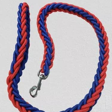 Correas y cadenas para perros - Img 113250547