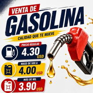 Gasolina - Img 56392634