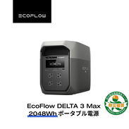 DELTA 3 MAX 2048Wh - Img 57891873