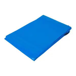 Lona sellada azul con ojetes 2x3 metros multiuso - Img 122240940