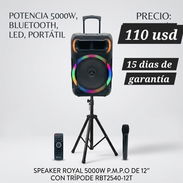 Bocina marca Royal - Img 55280645