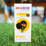 Bravecto para perros muy pequeños (2 Kg a 4.5 Kg) - Pastilla masticable - Img 56190702
