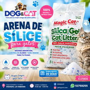 ARENA SILICE PARA GATOS.BOLSA 5 LITROS - Img 56444391