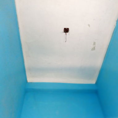 Venta de Apartamento en La Habana:.Buena ubicación 🏡 - Img 128131079