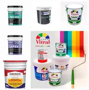 PINTURA DE LA MEJOR CALIDAD Y GARANTÍA PARA LA TRANQUILIDAD DEL CLIENTE - Img 50026294