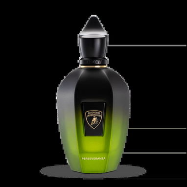 Perfumes 100% Originales en La Habana | Descubre Claar Essenza y Pide tu Catálogo - 9/9