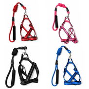 CORREA CON PECHERA PARA PERROS - Img 57481424
