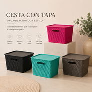 Cesta organizadora con tapa (cv) - Img 55997204