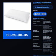 ALMOHADA HOLLOFIL VPT -0224 - Img 57888422
