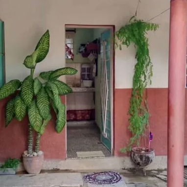 venta de casa en San Miguel del padrón - 3/4