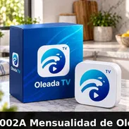 Mensualidad de Oleada - Img 57496825