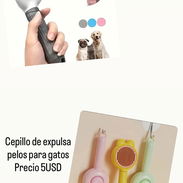 Artículos para mascotas - Img 55331449