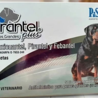 馃拪Antiparasitarios para tu mascota. Medicamentos para pulgas y garrapatas.馃惗馃樅 - Img 126021759