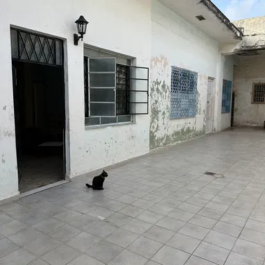 Apartamento en Centro Habana zona céntrica (leer bien la descripción) - Img 125973872