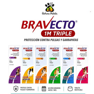COMBO BRAVECTO+Arnés+ Comedero Doble - 7/8