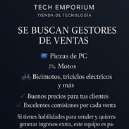 ¡SE BUSCAN GESTORES DE VENTAS! ¿Te gustaría ganar dinero desde casa? - Img 57099516
