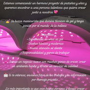 Oferta de empleo - Img 55955221