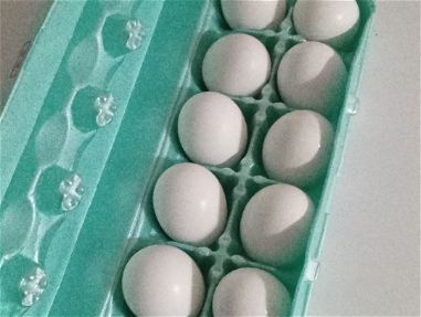 Cartones de huevos 3000..52761746 - Img main-image