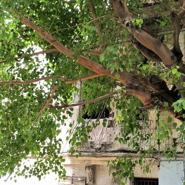 Se vende apartamento en en vedado - 2/10