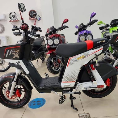 Top maq evolution 2026 - 3/5