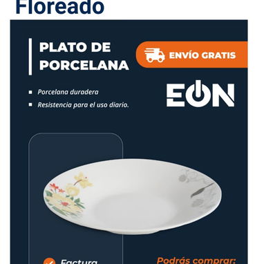 Platos de Porcelana, domicilio incluido - 2/3