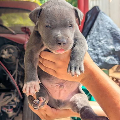Todo lo que buscas para ti hogar está aquí solo llama al 53818081 - Img 125852744