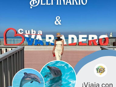 Excursión a Varadero, Delfinario. Viaje con Havana Trip - Img main-image