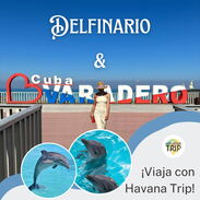 Excursión a Varadero, Delfinario. Viaje con Havana Trip - Img 45369948
