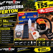 MOTOSIERRA FERTON 58CC - Img 57892038