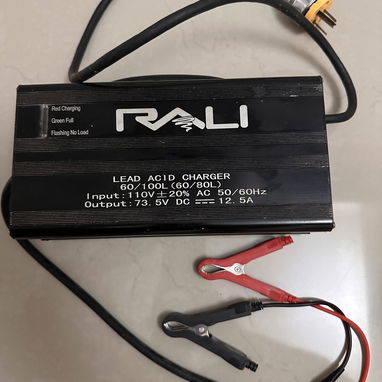 CARGADOR RALI METÁLICO DE USO EN PERFECTO ESTADO, Para baterías de gel o set de baterías de gel de 60 V 100 ah - 2/2