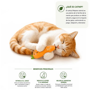 PELUCHE PARA GATOS / CON CATNIP - Img 126232236