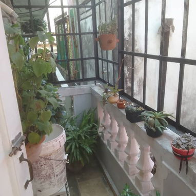 Ofertaaa lindo apto de 2 cuartos en Santo Suárez con todo adentro y en perfecto estado!!! - Img 119806902