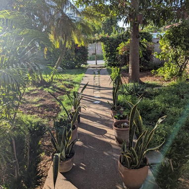 Se vende casa independiente en playa santa fe 🏡📍(20 minutos caminando de la playa) - Img 124618216