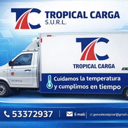 Transporte de Cargas, servicio Rápido y Seguro - Img 56260445