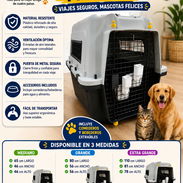 HUACALES EXTRA GRANDE PARA PERROS - Img 56900688