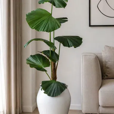 📢 Macetas grandes con planta artificial. Ideal para decorar su hogar o negocio. Importadas - Img 119695857