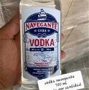 Vendo vodka por cantidad - Img 45861975